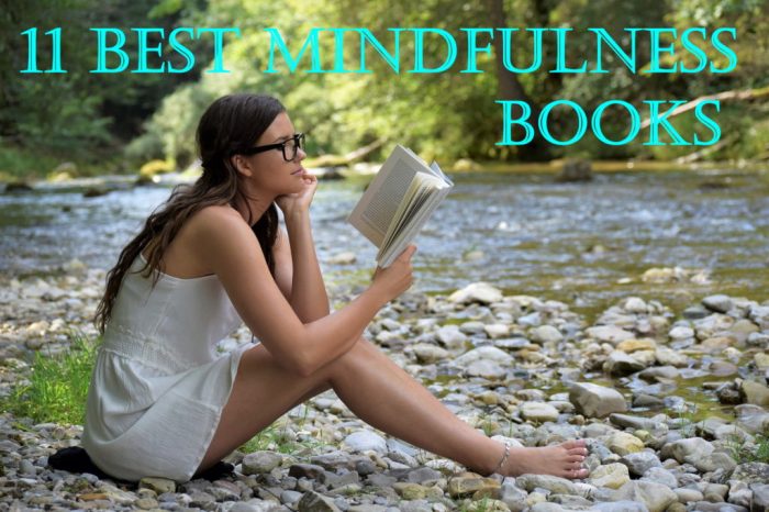adventureflow.biz.id : Books About Mindfulness Meditation Techniques Unpacked