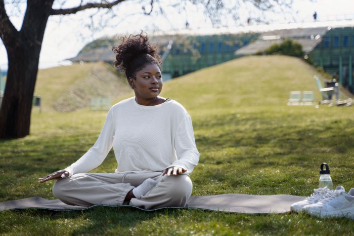 Mind And Body Meditation Connection Guide