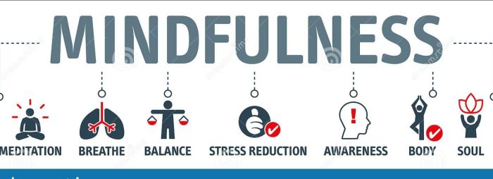 Meditation And Mindfulness Course Overview