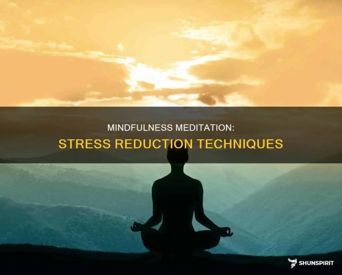 adventureflow.biz.id : Mindfulness Based Stress Reduction Meditation Overview