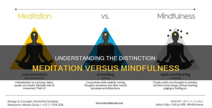 Difference Between Mindfulness And Meditation Explained