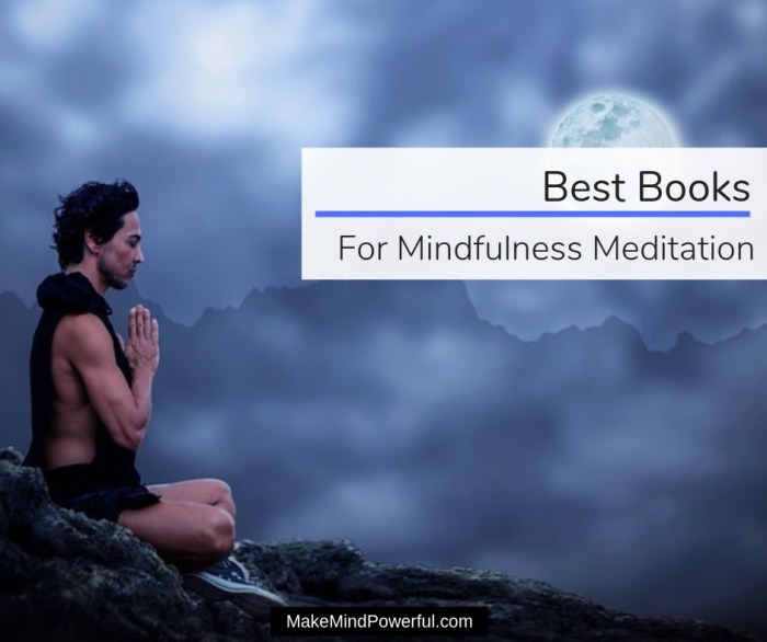 Mindfulness And Meditation Books For Beginners