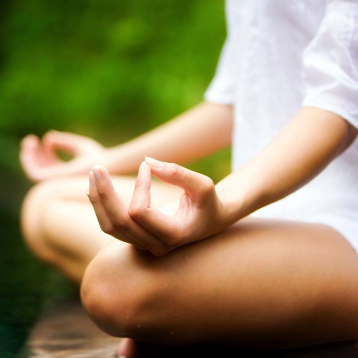 Rasa Meditation: Unlock Your Inner Peace and Tranquility – Planet ... Peace Of Mind Meditation For Daily Relaxation