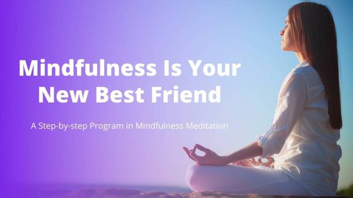 Mindful Learning: Integrating Mindfulness Practices into Educational ... Mindfulness And Meditation Learning Programs