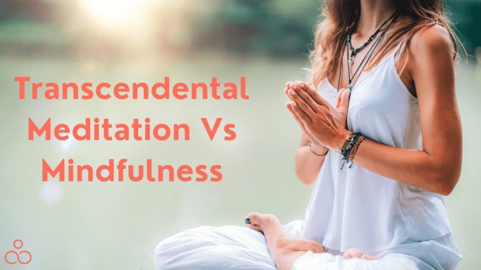 adventureflow.biz.id : Transcendental Meditation Vs Mindfulness Comparison