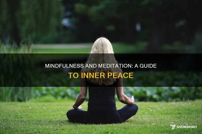 Mindfulness and Meditation: A Beginner’s Guide to Practice | Balanced ... Meditation And Mindfulness Practices Explained