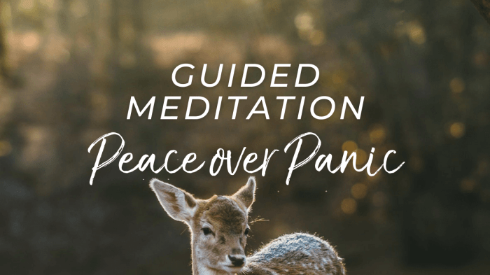 adventureflow.biz.id : Meditation For Peace Of Mind Practice Unpacked