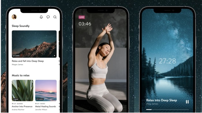 adventureflow.biz.id : Mindfulness And Meditation Apps Comparison Guide